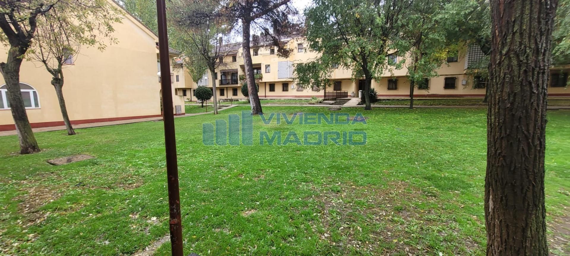 Jardí de Casa o xalet en venda en Talamanca de Jarama amb Aire condicionat, Calefacció i Terrassa