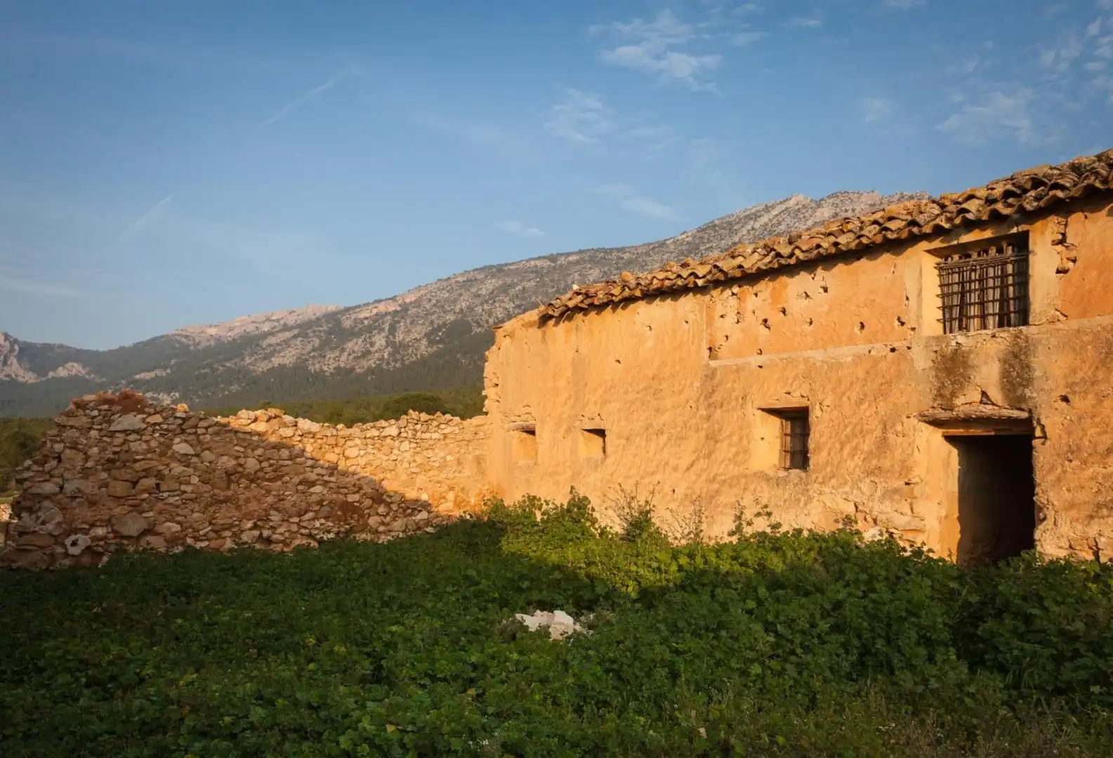 Lands and plots for sale in Mula, imagen 19
