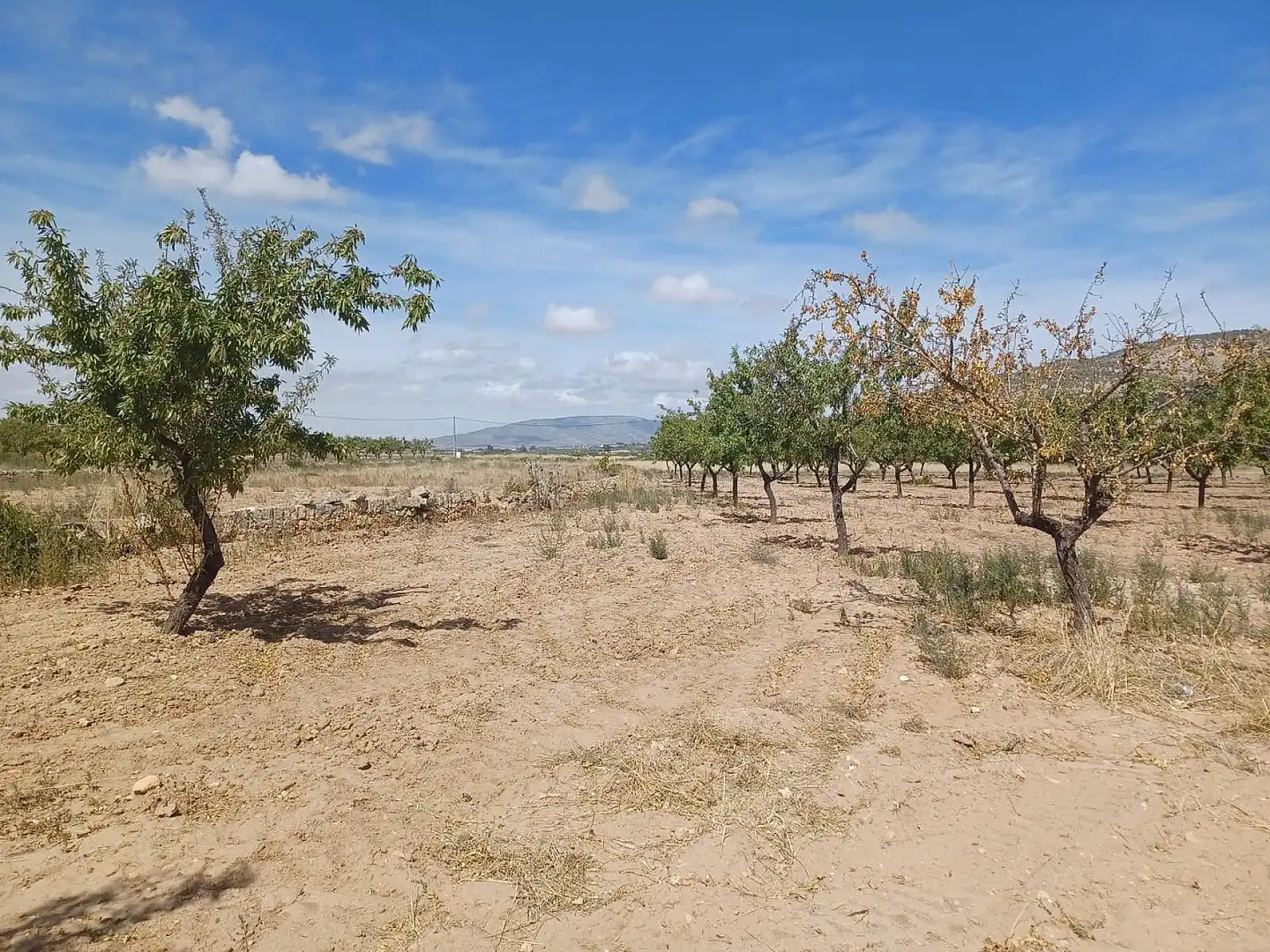 Villa à vendre à El Pinós / Pinoso, imagen 30