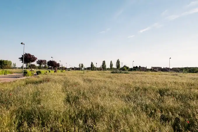 Terreno rustico in vendita a C/ Río Guadalquivir, imagen 13