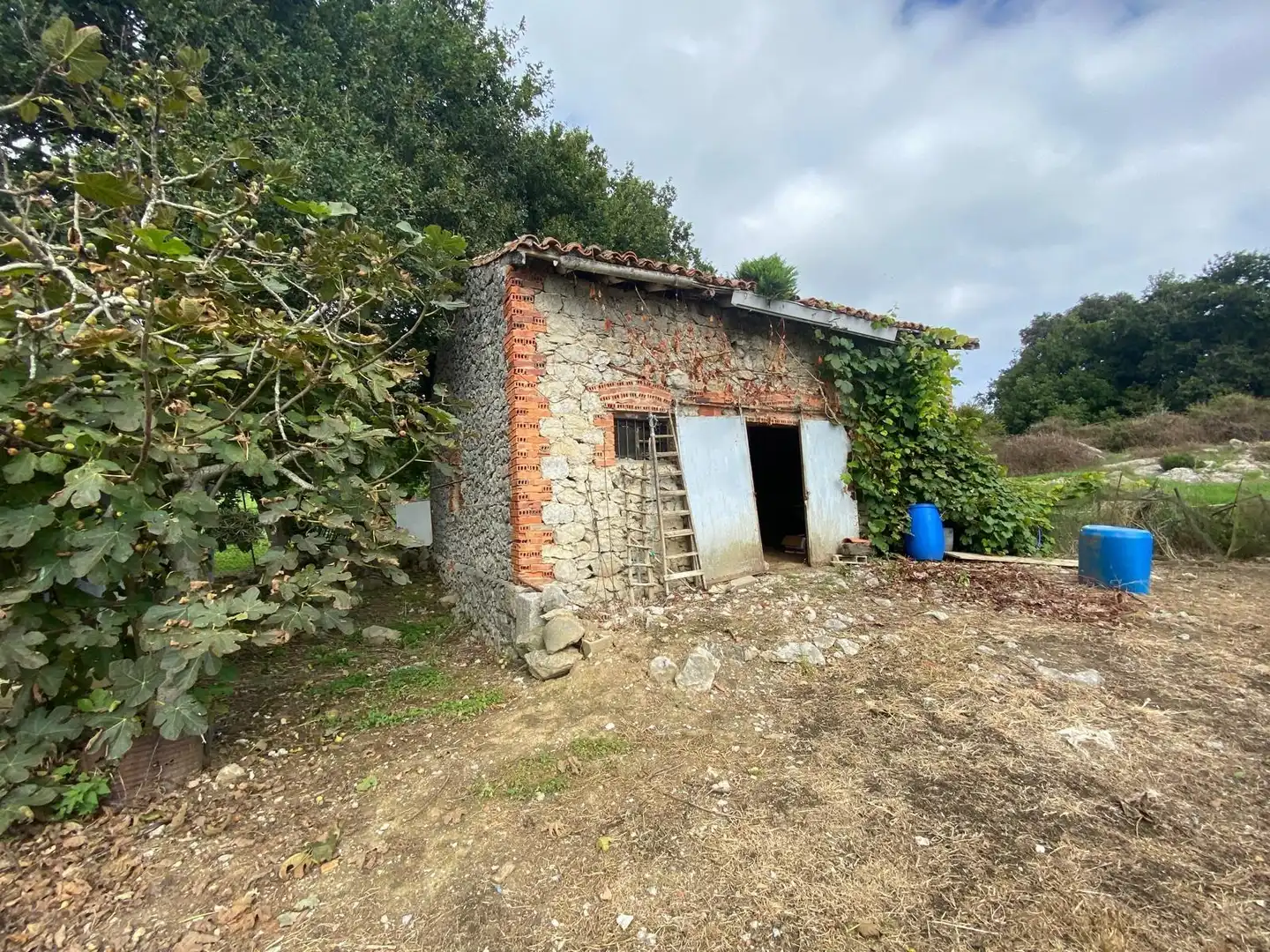 Finca rústica en venta en Argoños