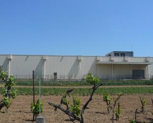 Exterior view of Industrial buildings for sale in Celrà