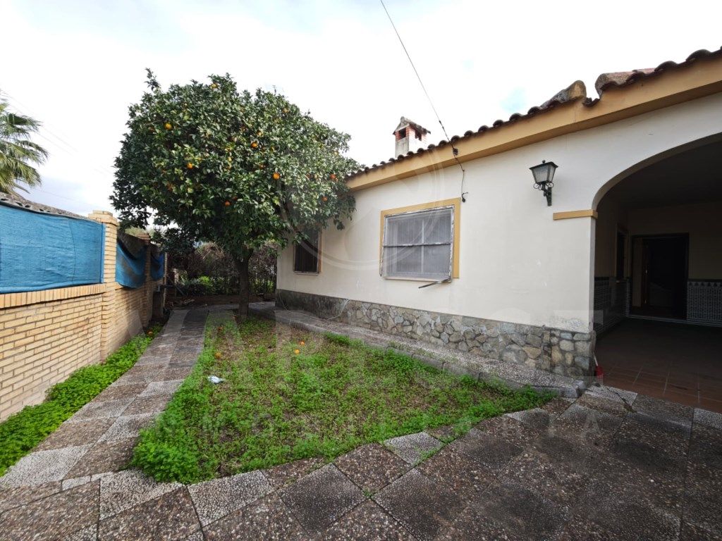 Vista exterior de Casa o xalet en venda en Gines