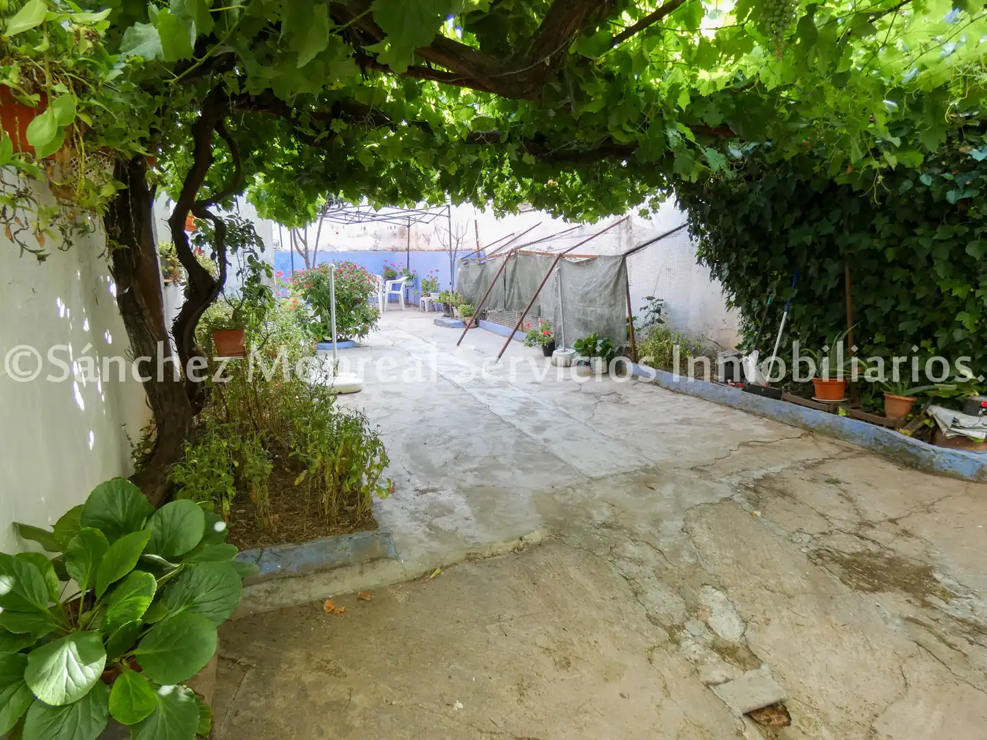 Jardí de Casa o xalet en venda en Alcázar de San Juan