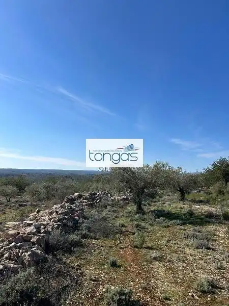 Grundstücke und Bauplätze zum Verkauf in Polígono parcela 593 9, imagen 9