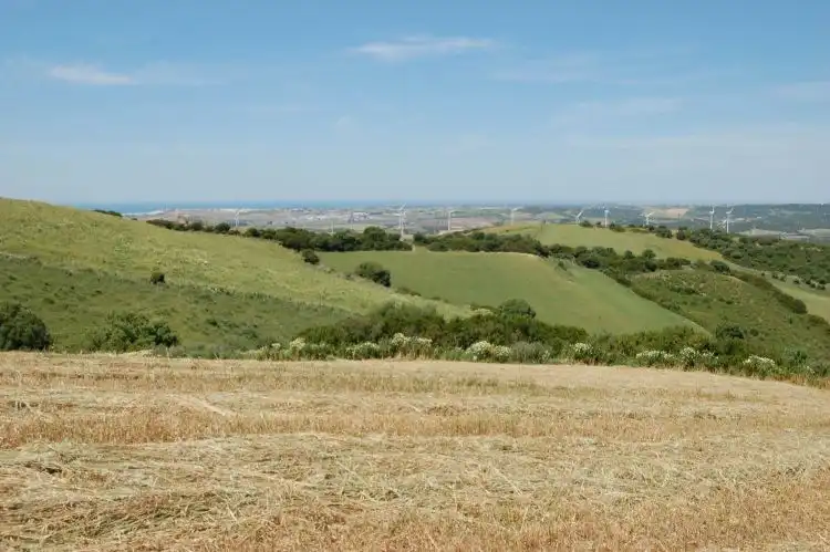 Terreni e lotti in vendita a La Muela, imagen 6