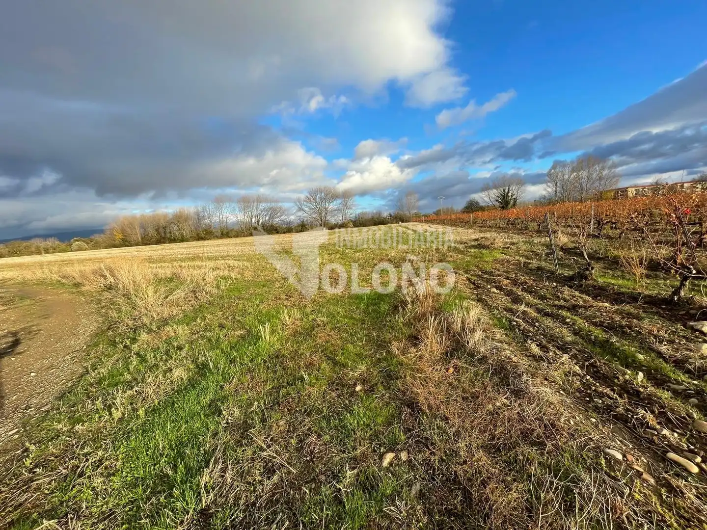 Lands and plots for sale in Casalarreina, imagen 5