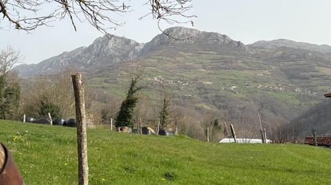 Photo 4 of Country homes for sale in Quirós, Asturias