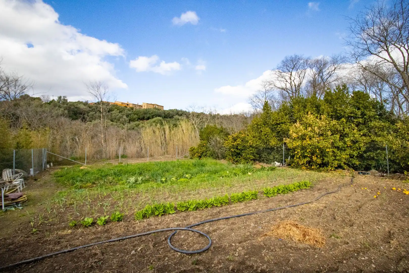 Terreno en venta en Sant Climent Sescebes