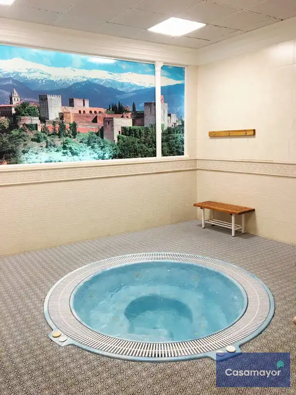 Piscina de Piso en venta en Alicante / Alacant con Aire acondicionado, Calefacción y Jardín privado