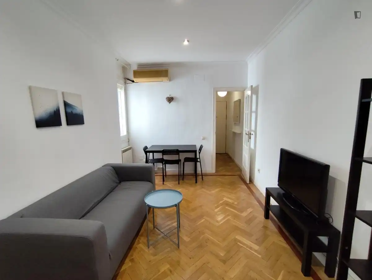 Sala de estar de Apartamento de alquiler en Madrid con Aire acondicionado, Amueblado y Horno