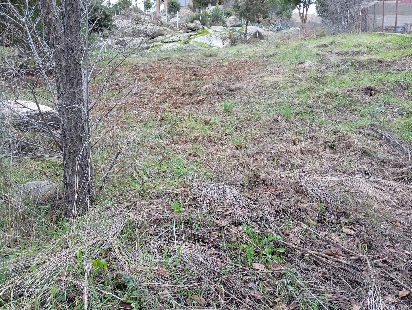 Terreni e lotti in vendita a Robledo de Chavela, imagen 18