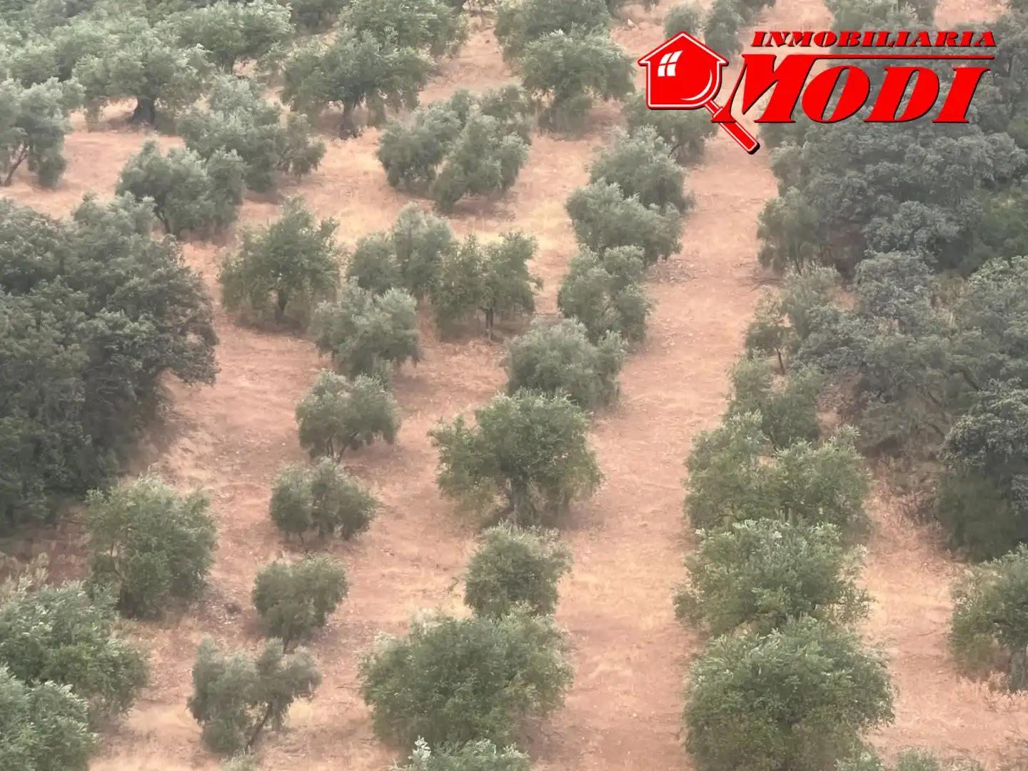 Terreni e lotti in vendita a Padul, imagen 7