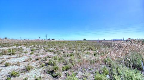 Foto 3 de Residencial en venta en Polígono Paraje Saladar y Mejijo, 1, San Isidro, Alicante