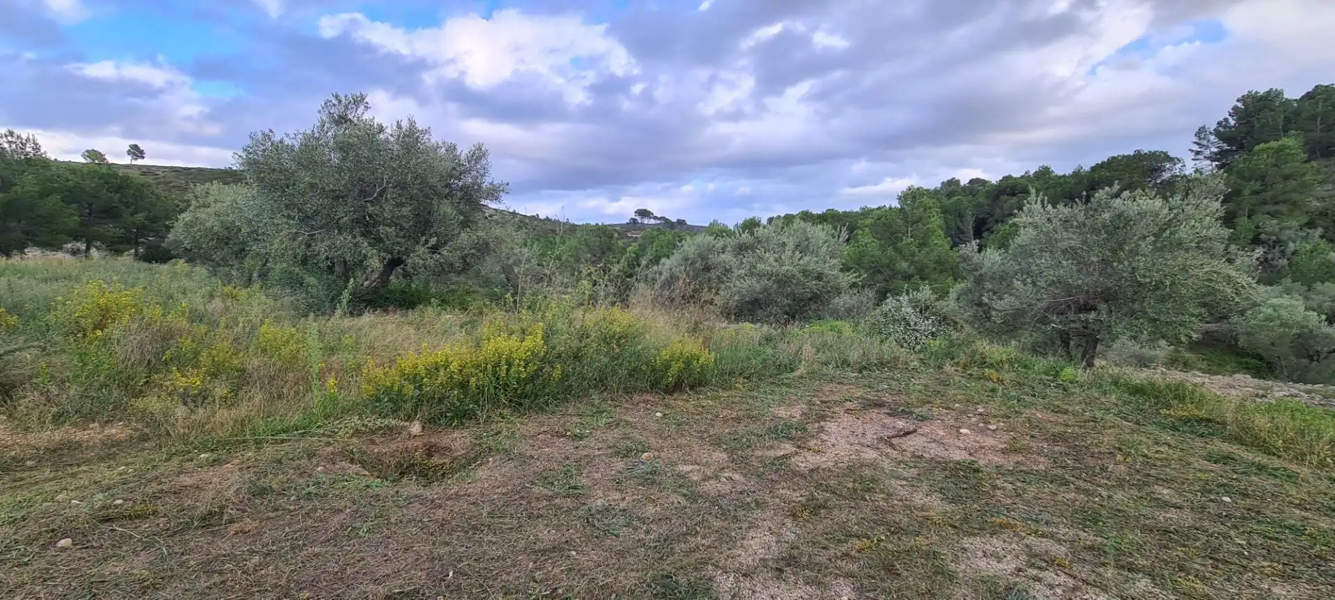 Landhaus mit Garten zum Verkauf in El Perelló, imagen 59