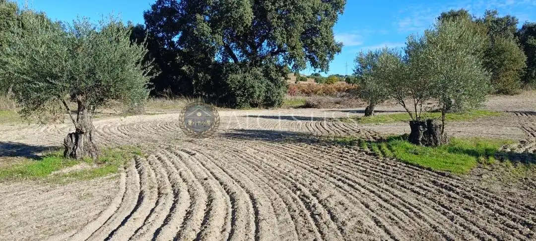 Terreno rústico en venta en Villamanta, imagen 13