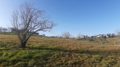 FINCA RÚSTICA EN PARRES, immagine 2