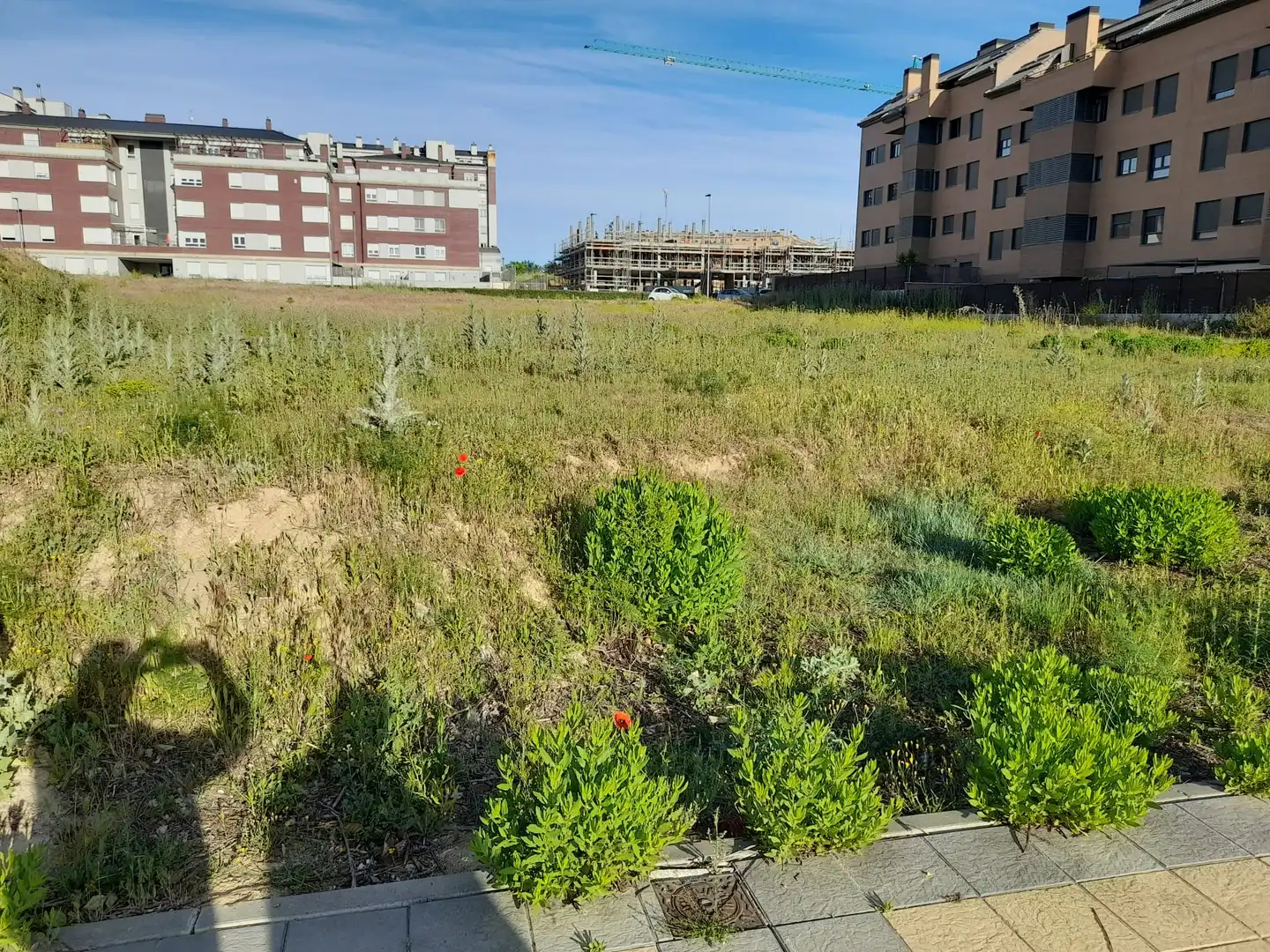 Residential zum Verkauf in Avenida de Aranzana, 4, Aranzana