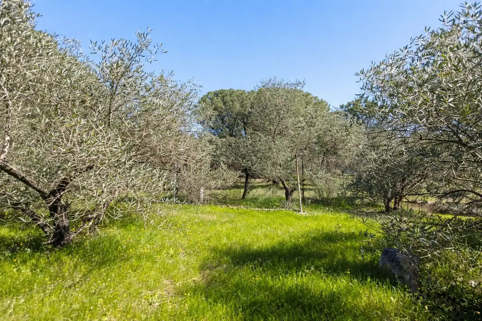 Finca rústica en venda en Andújar amb Jardí privat i Terrassa