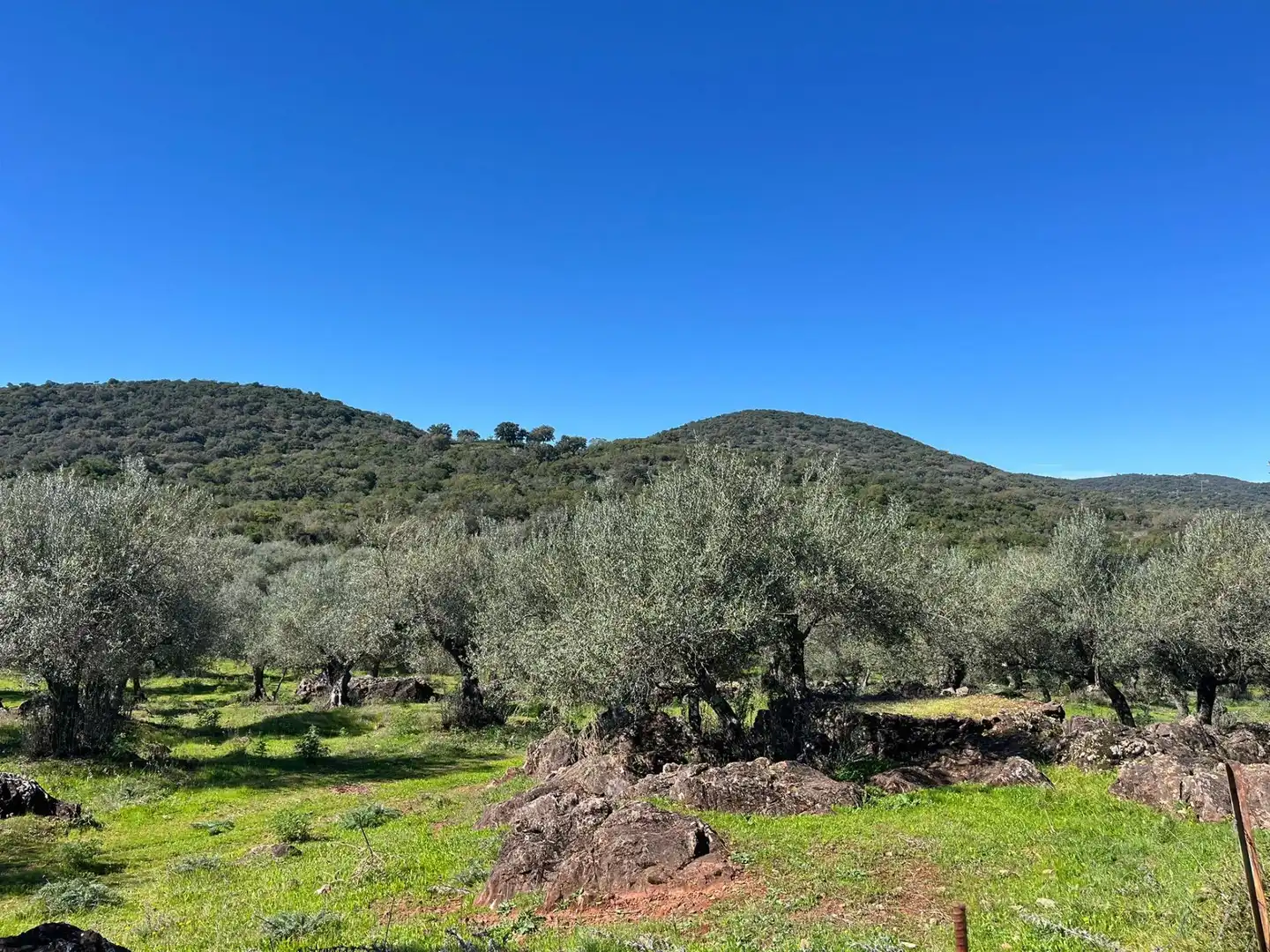 Terreni e lotti in vendita a Zufre, imagen 16