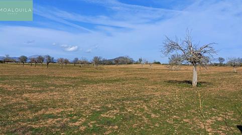 Photo 5 of Residential for sale in Carretera Sineu Km 4, 1, Zona Periurbana, Illes Balears