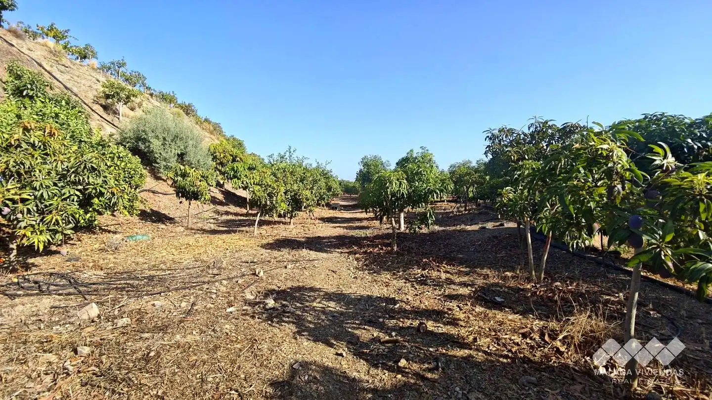 Terreno rústico en venta en Diseminado Atalaya Baja, imagen 3