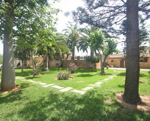 Jardí de Casa o xalet en venda en  Palma de Mallorca amb Aire condicionat, Terrassa i Piscina