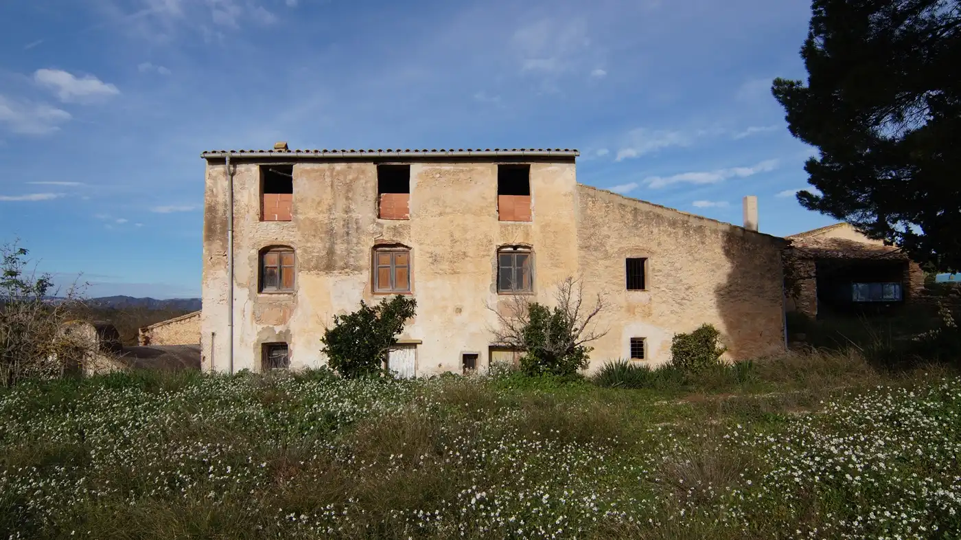 Vista exterior de Terreno en venta en Tivissa
