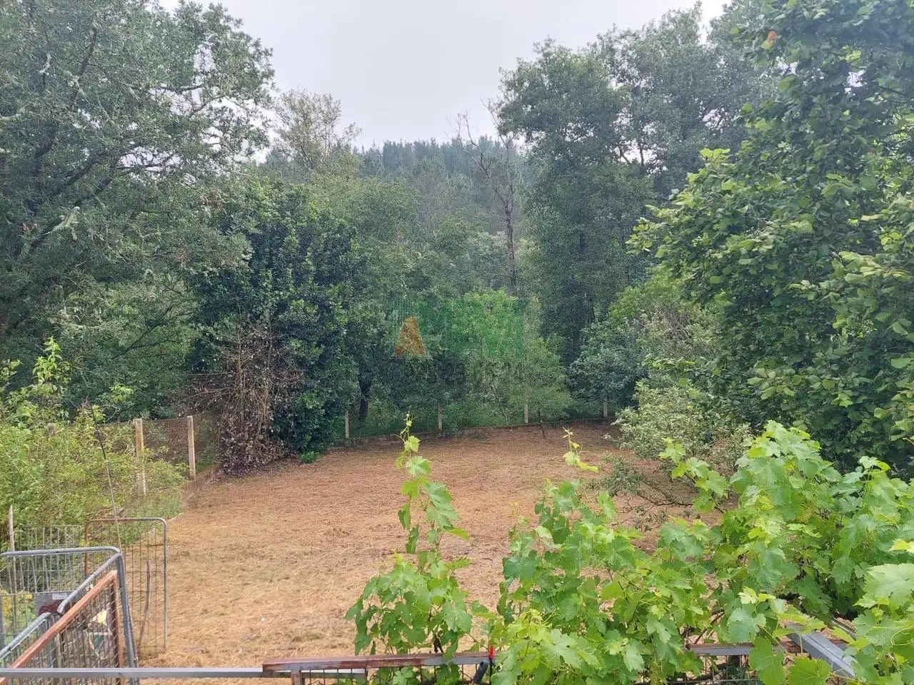 Terreni e lotti in vendita a O Pereiro de Aguiar, imagen 7