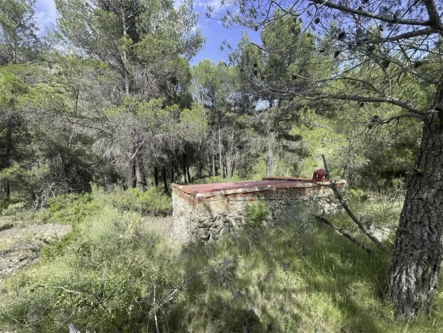 Country homes for sale in Confrides