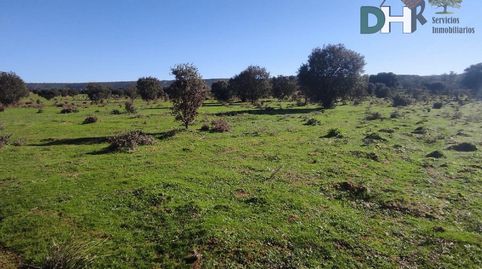 Foto 5 de Residencial en venta en Campus Universitario, Cáceres Capital