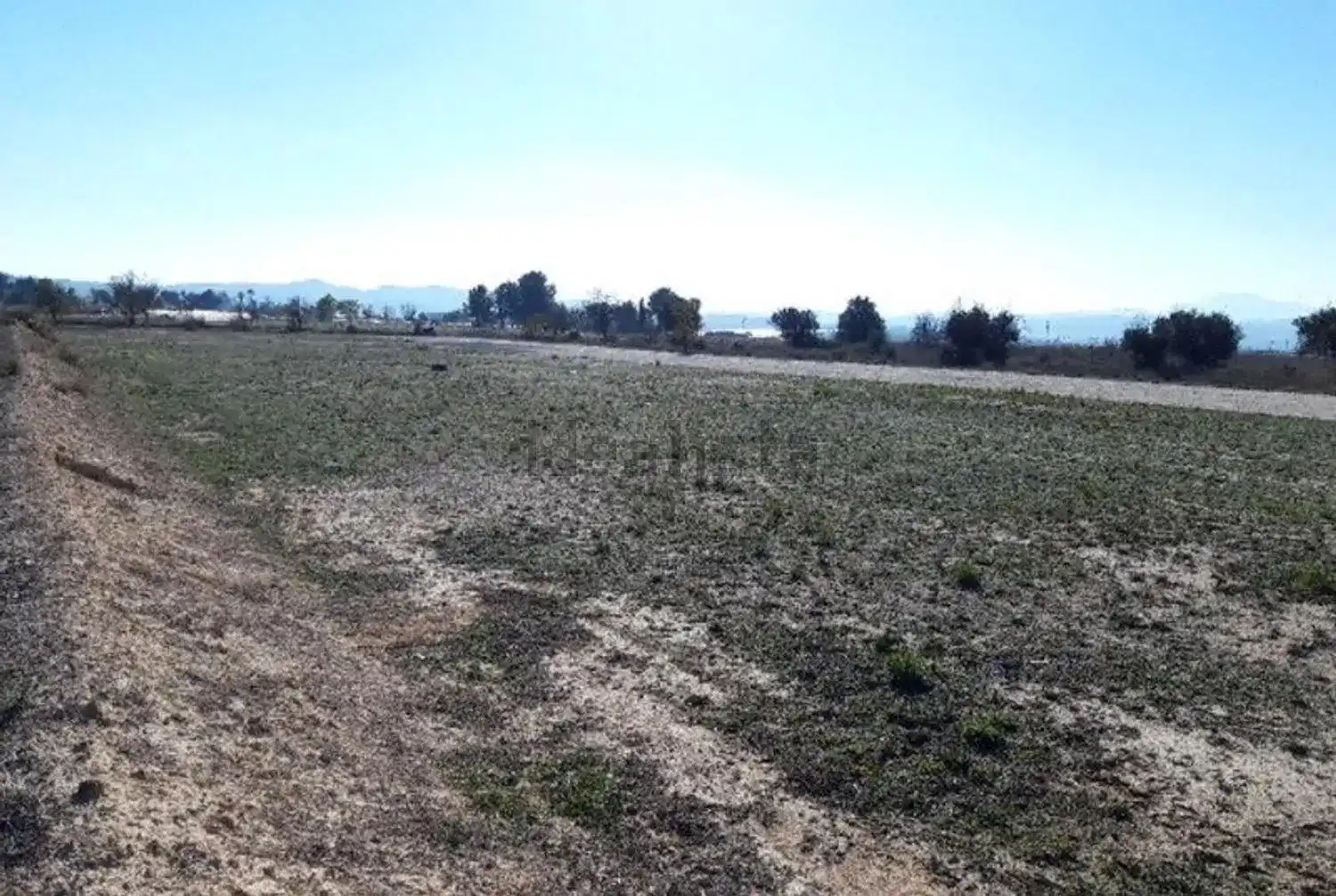 Terreno rústico en venta en Monforte del Cid, imagen 8