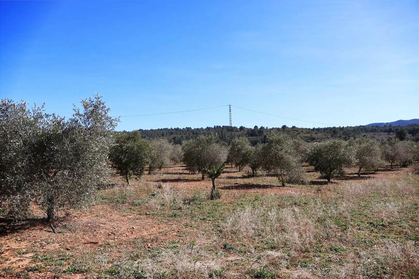 Terreno en venta en BARONA, Vall d'Alba