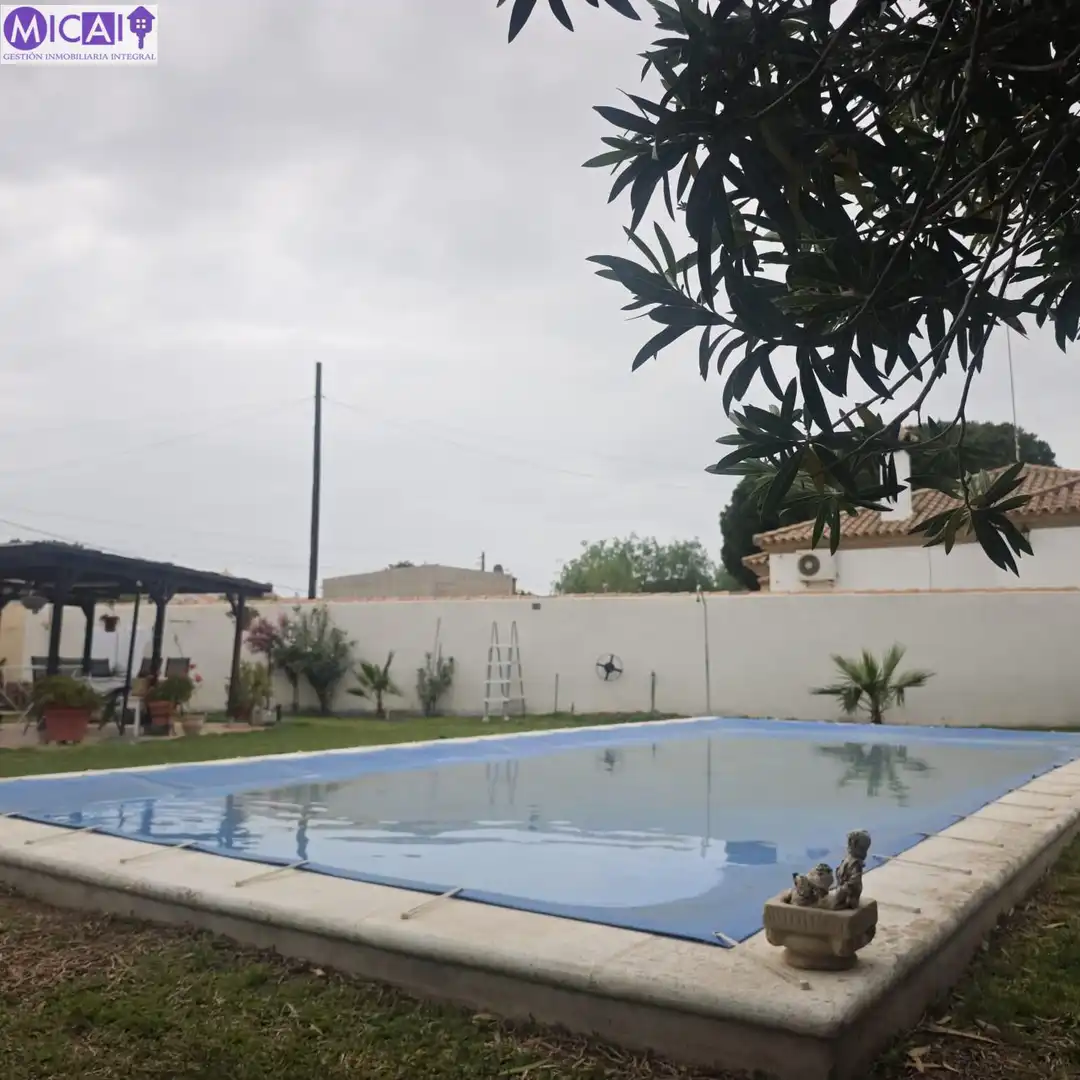 Piscina de Casa o chalet en venta en Chiclana de la Frontera con Jardín privado, Trastero y Piscina