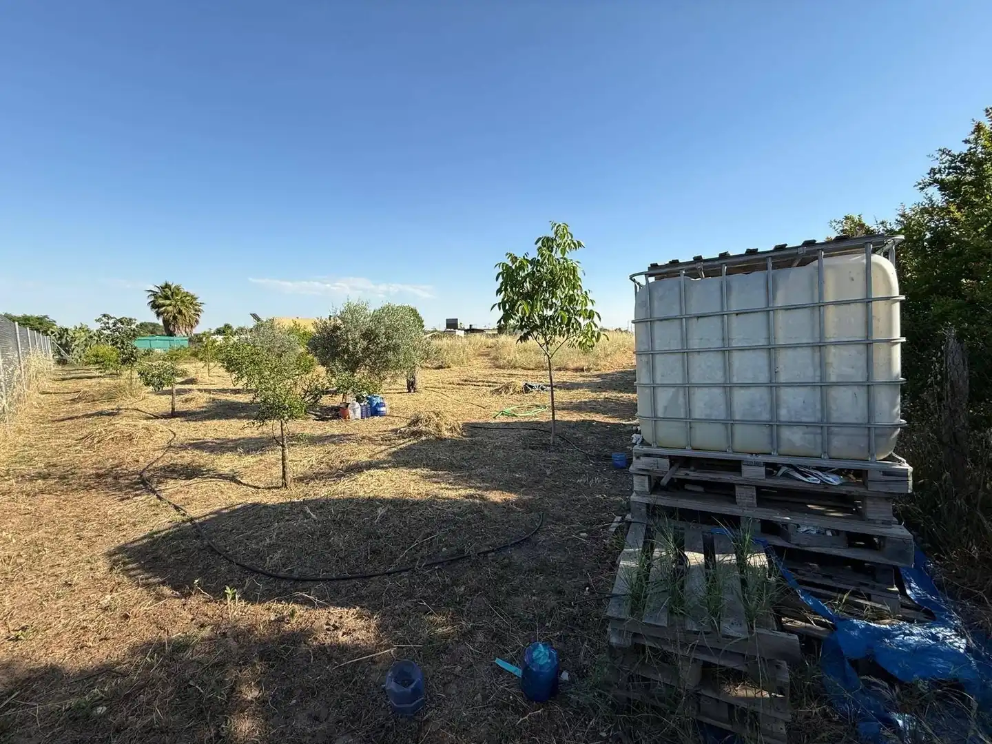 Terreni e lotti in vendita a Pedanías de Badajoz, imagen 4