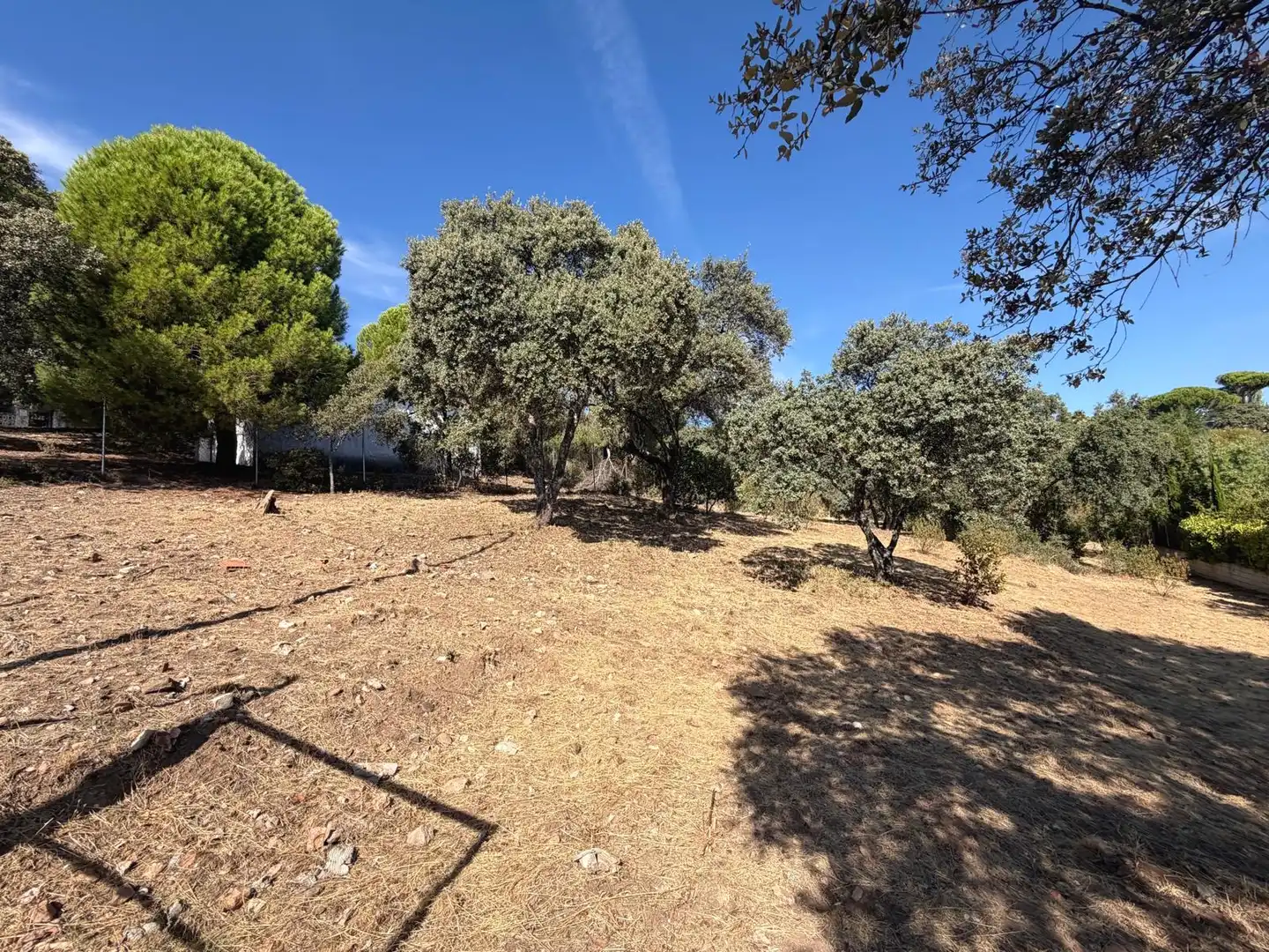 Residential land for sale in Villa del Prado, imagen 14