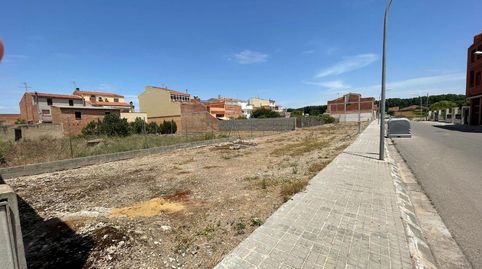 MollerussaTerreno