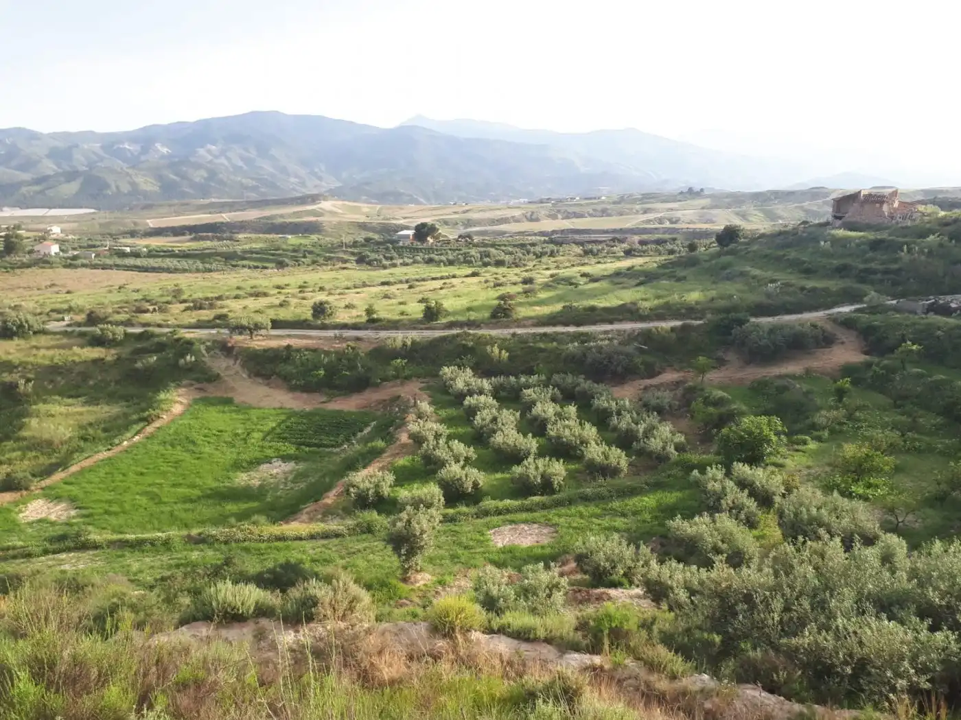 Finca rústica en venda en Urrácal