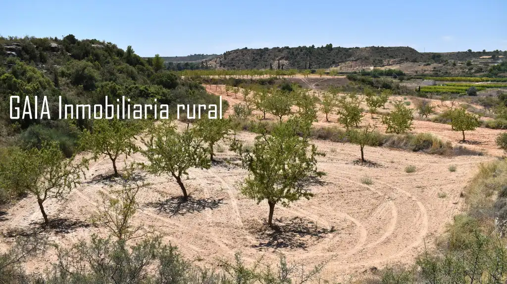 Finca rústica en venta en Caspe
