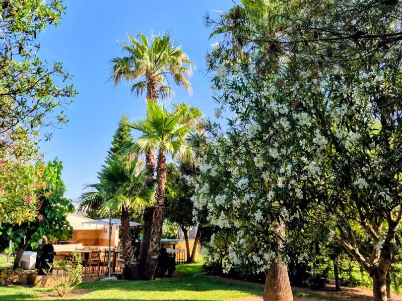 Jardí de Casa o xalet de lloguer en Sa Pobla amb Calefacció, Jardí privat i Terrassa