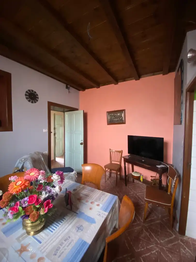 Sala de estar de Finca rústica en venta en Los Llanos de Aridane con Jardín privado y Amueblado