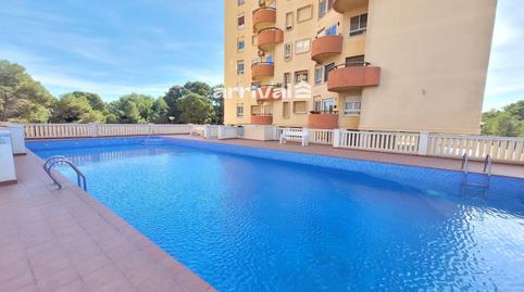 Foto 5 de Pis de lloguer a Gola del Puchol, El Saler,  Valencia Capital