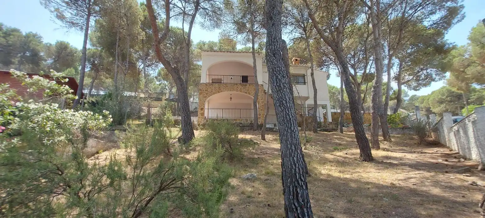 Vista exterior de Casa o chalet en venta en Torres Torres con Jardín privado, Terraza y Piscina