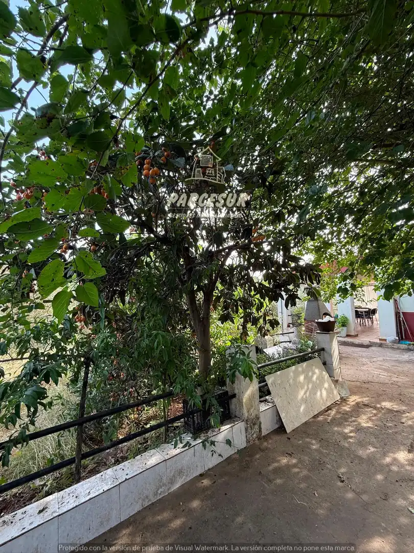 Casa o xalet en venda en Córdoba amb Traster i Piscina