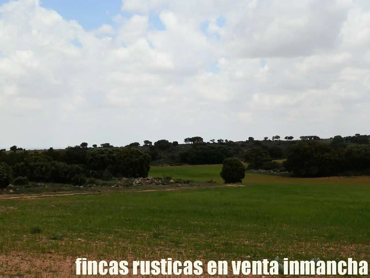 Terreno rustico in vendita a Ruidera, imagen 4
