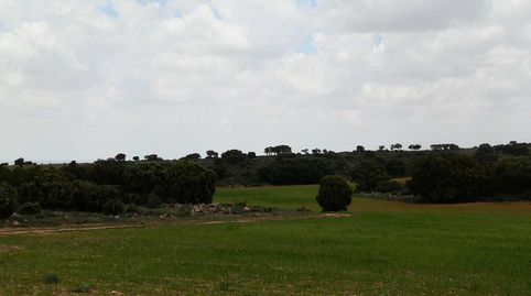 finca en venta 186 has. labor caza menor en Ruidera (Ciudad Real), immagine 4