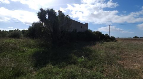 Image 5 de l'annonce