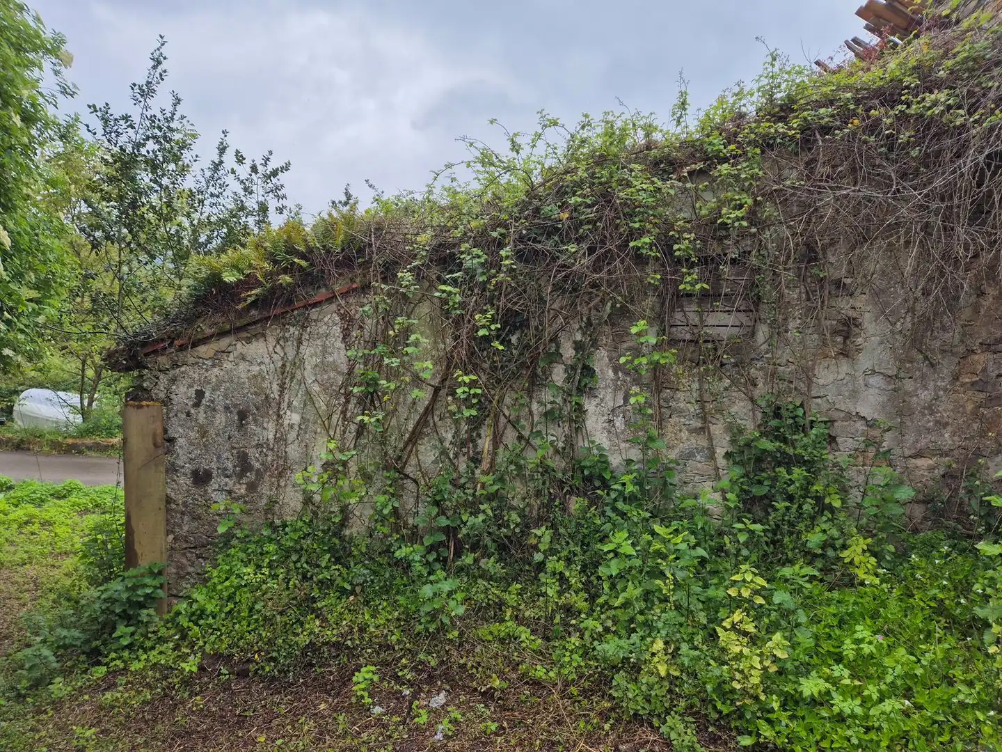 Casa o xalet en venda en Villaviciosa amb Piscina