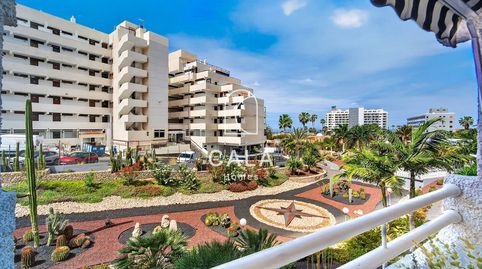 Photo 2 of Flat for sale in Venezuela, Playa de las Américas, Adeje
