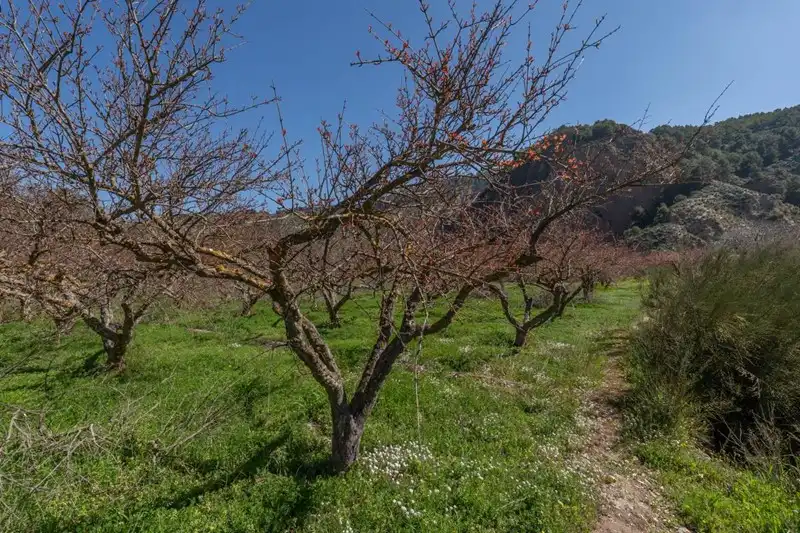 Terreni e lotti in vendita a Villamena, imagen 17